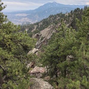 Meet your Posher, Carrie